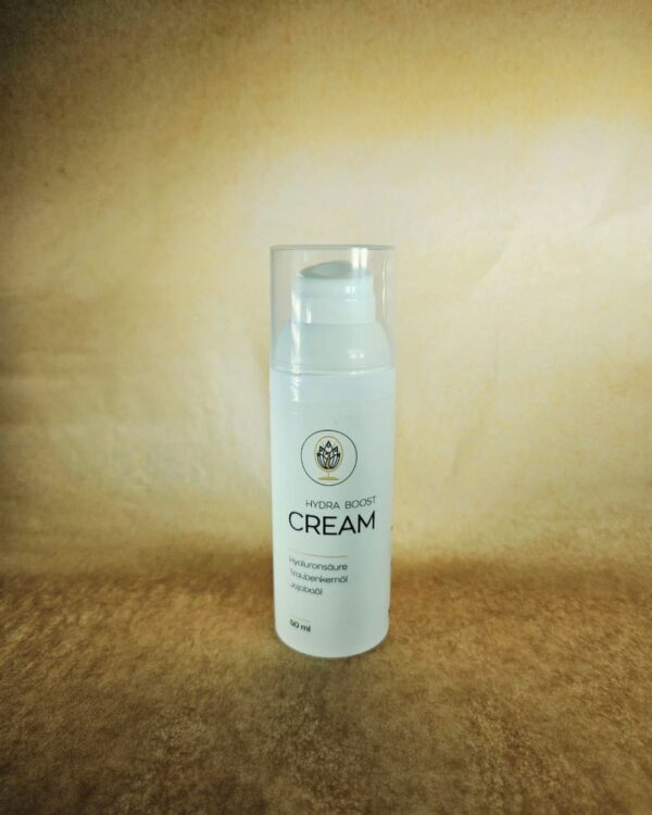 24H Hydra Boost Cream